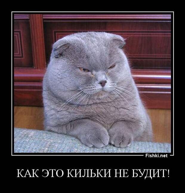 Демотиваторы демотиваторы, прикол, смех, юмор