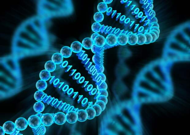 Картинки по запросу Хранение данных в ДНК