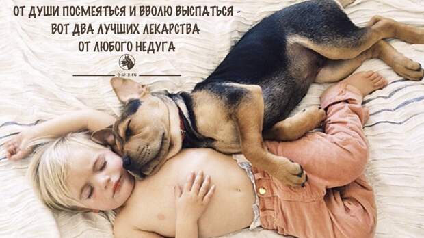 ПСИХОЛОГИЯ11