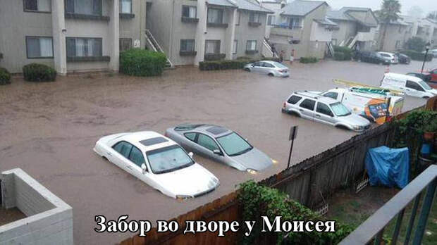 Прикольные картинки (96 фото) Прикольные картинки (96 фото)