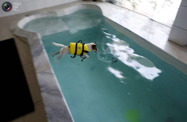Неделя в фотографиях