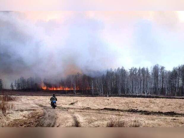 В девяти районах Забайкалья ожидается чрезвычайная пожарная опасность