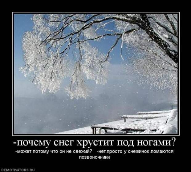 Разные смешные демотиваторы, новые приколы на фото.