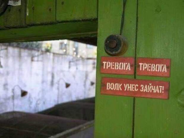 Прикольные картинки снежным вечером (54 шт)