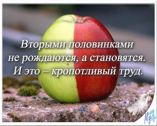http://www.myeasylife7.ru/wp-content/uploads/2013/03/Polovinki.jpg