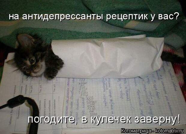 Лучшие котоматрицы недели (50 фото) Лучшие котоматрицы недели (50 фото)