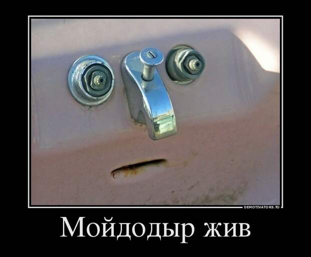 Демотиваторы бревно, демотиваторы, юмор