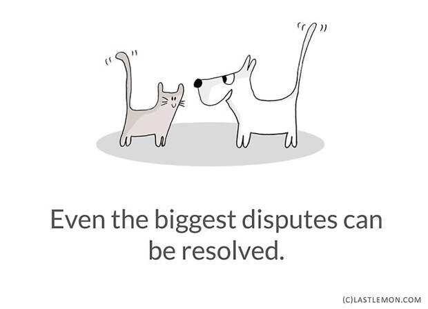 Life Lessons From Cats