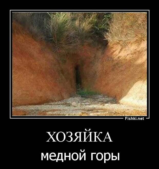 Демотиваторы  демотиваторы, прикол, смех, юмор