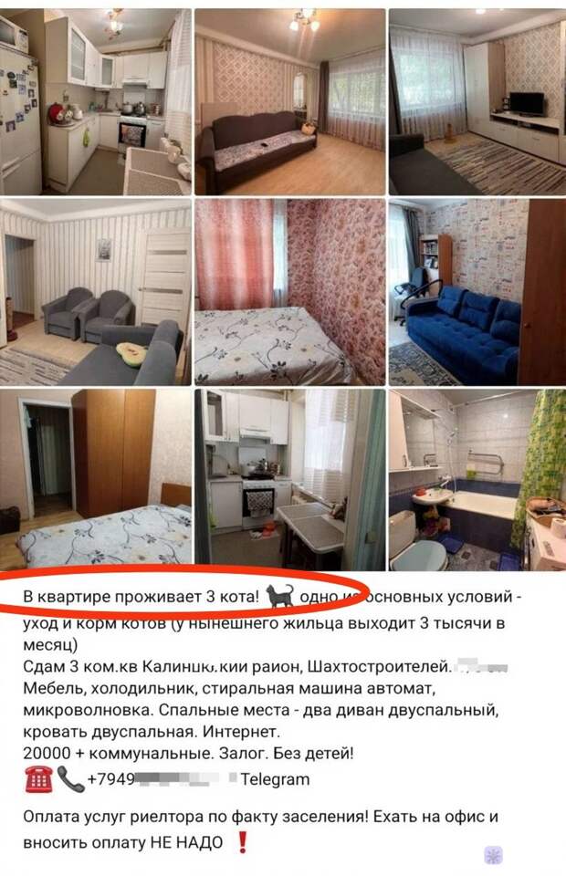 Донецкая группа новостей, Донецк ДНР