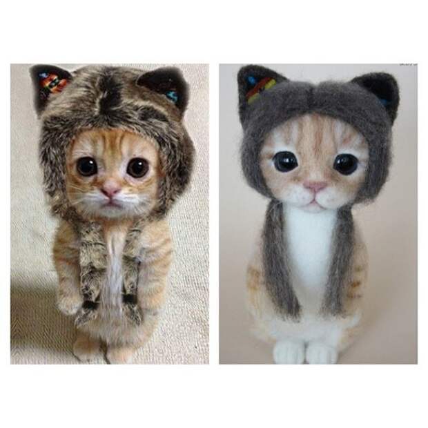 Войлочный котенок в шапочке от Валерии Рамировой животные, котенок, коты, мимимишность, прикол, смешно
