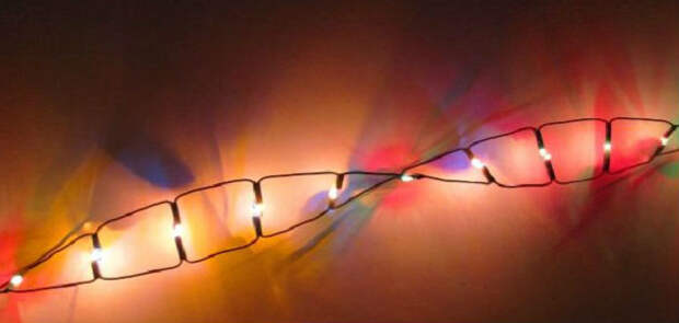 Все решает ДНК: что можно узнать по генетическому анализу