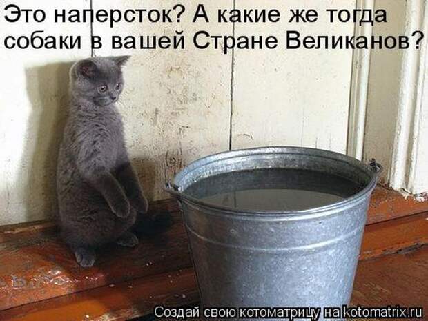 Мысли вслух :)