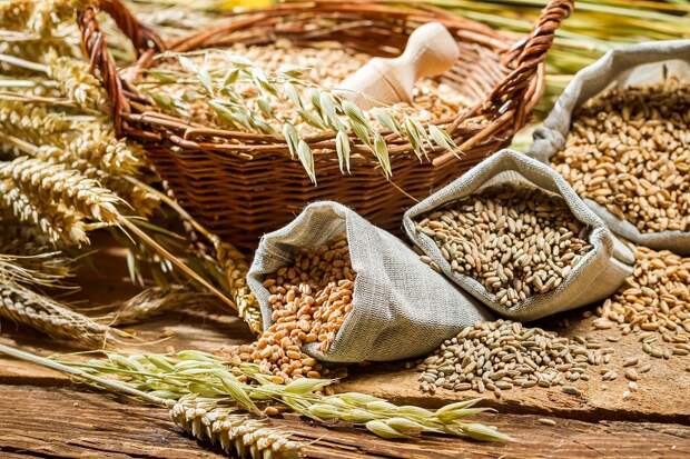 продукты питания для работы мозга