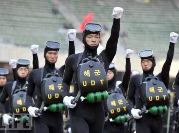 wtf-japan-20