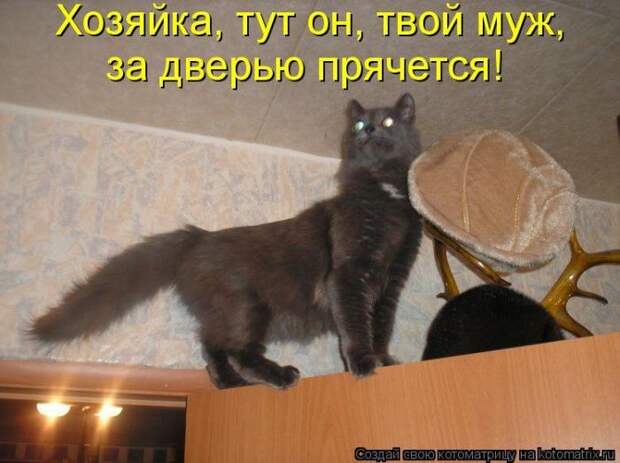 Мысли вслух :)