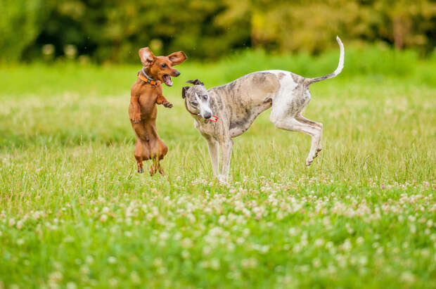 Фото: Grzegorz Leraczyk