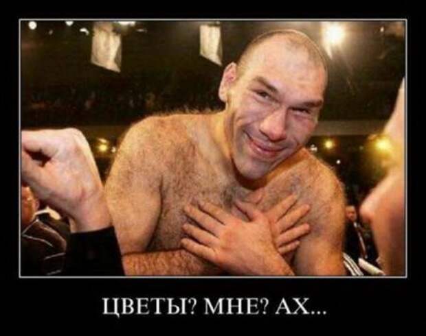 Демки прикольные