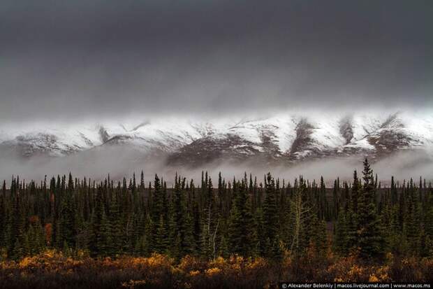 LR2015.09-US-AlaskaReasons-4