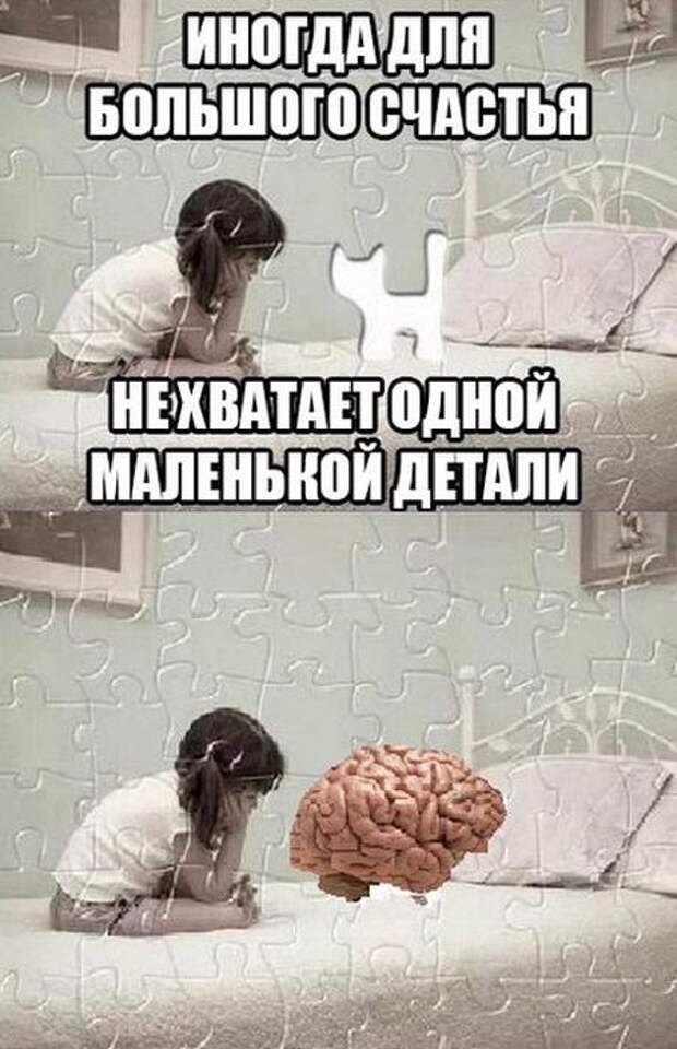 Снова прикольные картинки (51 шт)