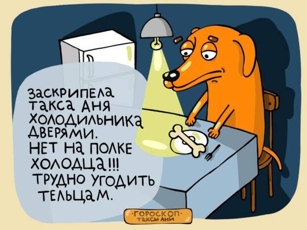 Найди свой знак в гороскопе таксы Ани гороскоп, такса