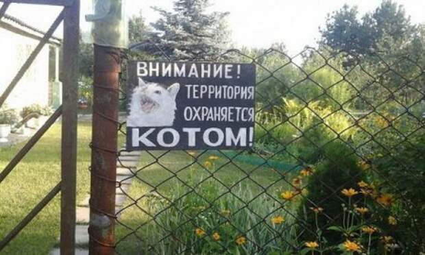 Фото приколы по полной.