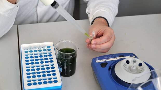 Ученые объяснили наличие прокрастинации