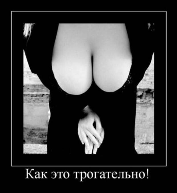 Демотиваторы картинки смешно и новые.
