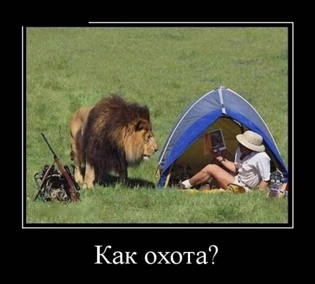 Демотиваторы (30 фото)
