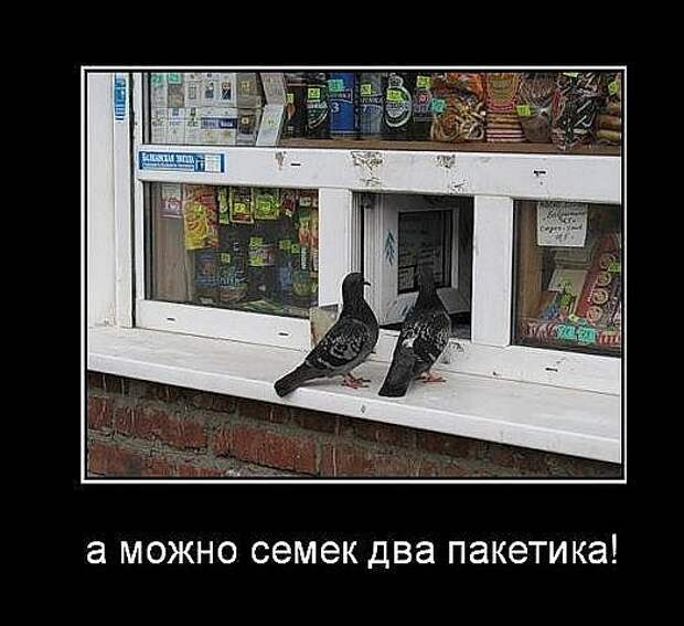 Картинки для улыбок. Улыбайтесь!