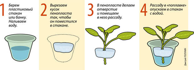 Дмитрий ПОЛУХИН