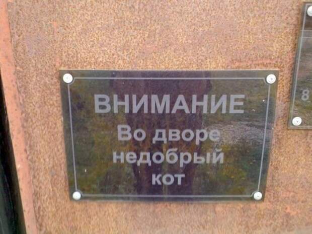 Такое возможно только в России маразмы, россия, юмор