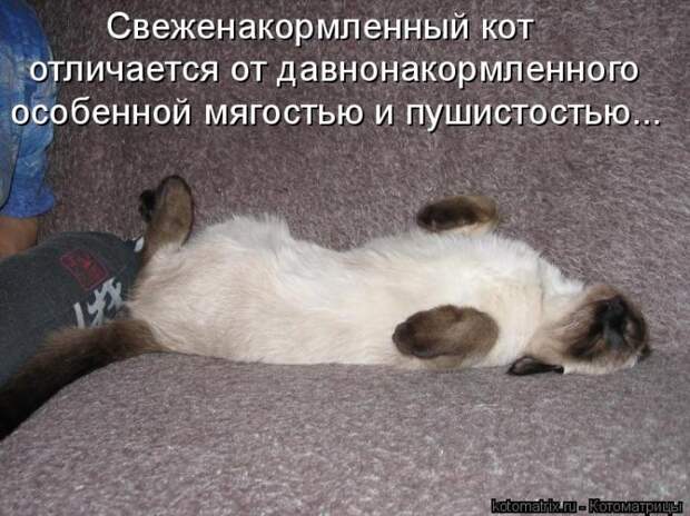 Мысли вслух :)