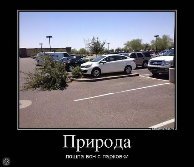 Спасибо женщинам за эволюцию! 46