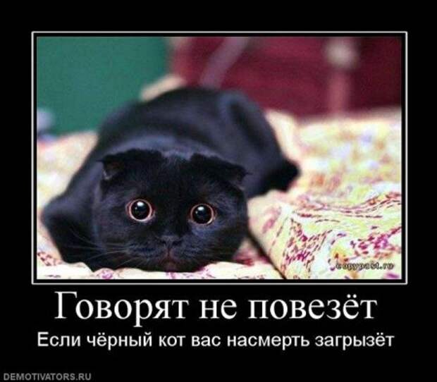 Демонтиваторы приколы.