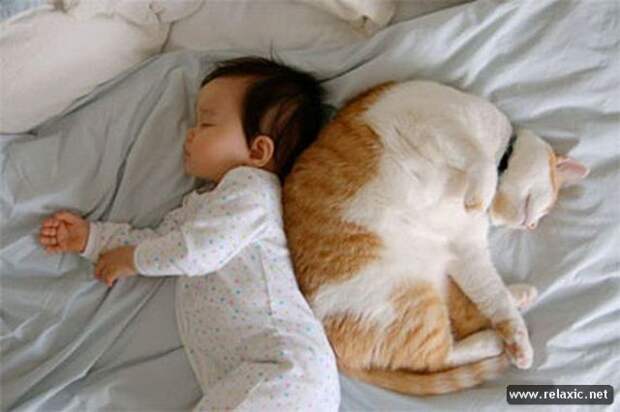 cat-and-kid_00011 (640x426, 37Kb)