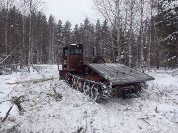 Под Новоуральском задержаны 20 человек, которые незаконно добывали золото.