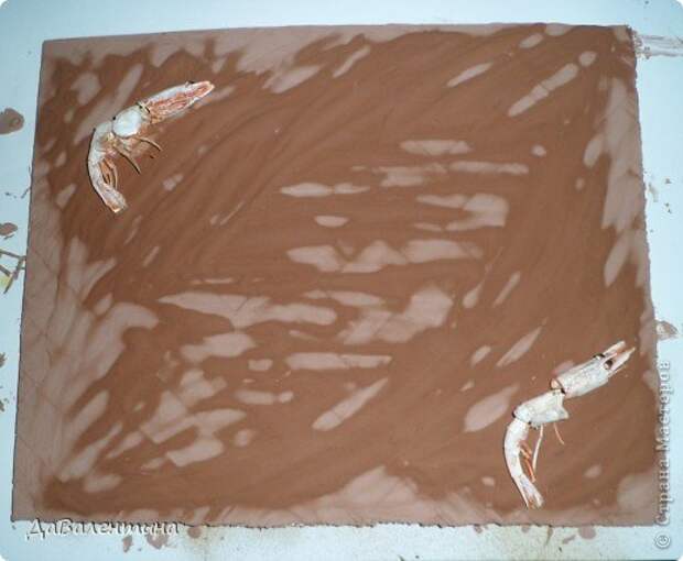 Картина панно рисунок Мастер-класс Коллаж Коллаж в технике терра Мастер-класс Морское дно с креветками Материал природный фото 7