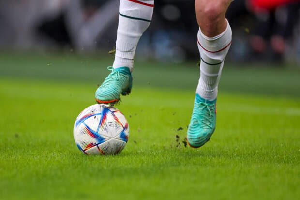 Сборные по футболу России и Мали проведут товарищеский матч