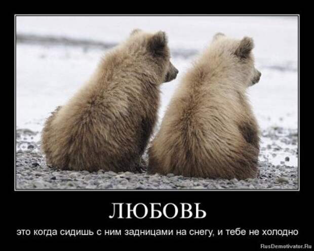 Демотиваторы со смыслом картинки.