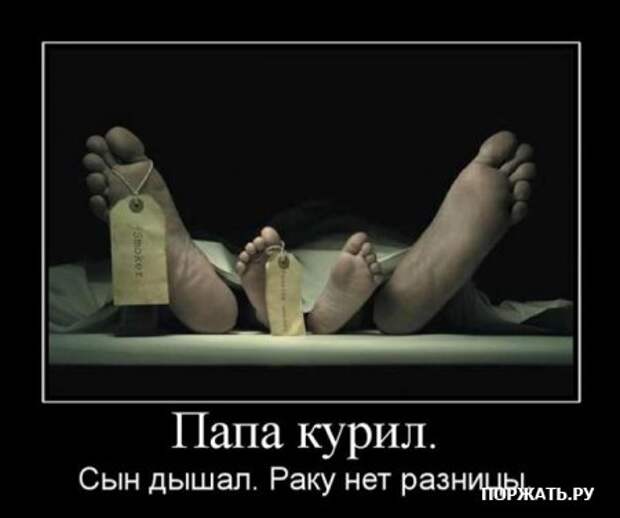 Демы (26 фото)