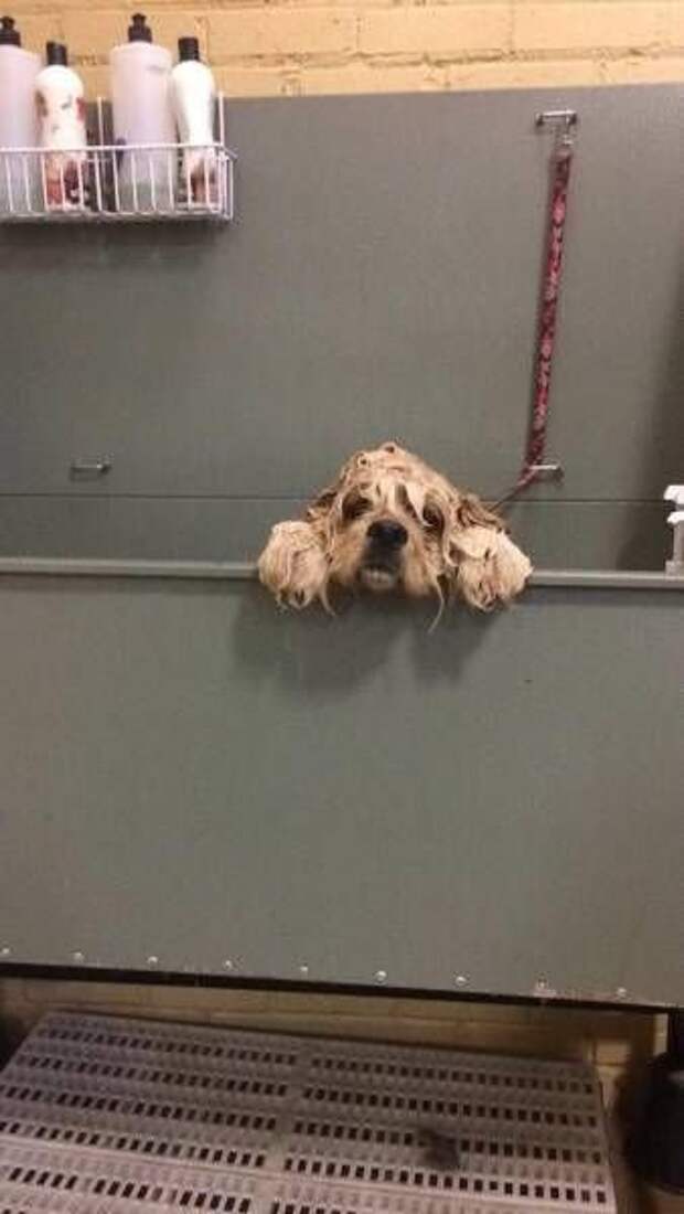 Прикольные картинки абавсём:D (06.08.15)