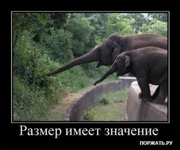 Демотивируемся только прикольными фото сюжетами и надписями.