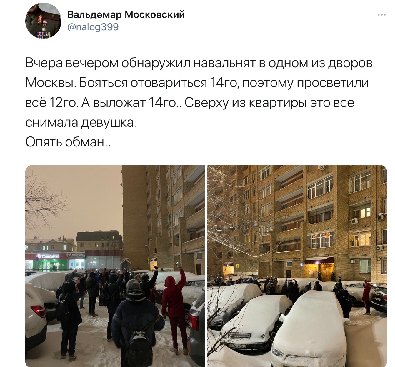 Все протесты хомяков превратились в пшик, а сами грызуны разбежались