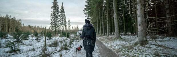 Жителей Алматы предупредили о повышенном загрязнении воздуха