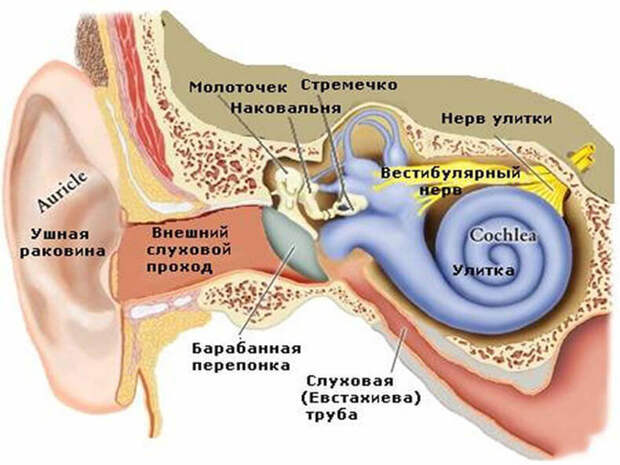 Упражнения как лечение головокружения при отолитиазе