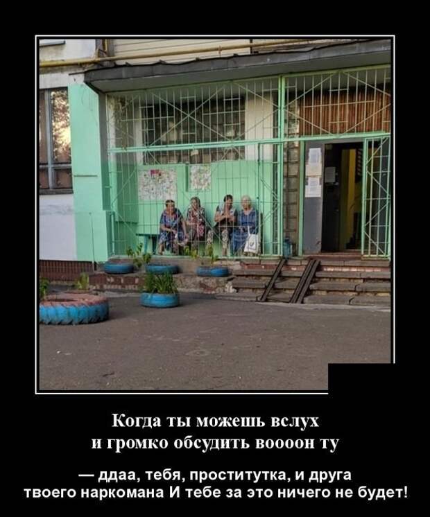 Демотиваторы (20 фото)