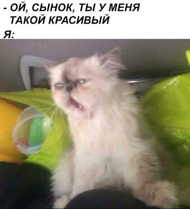 Картинки и приколы из социальных сетей (40 фото)