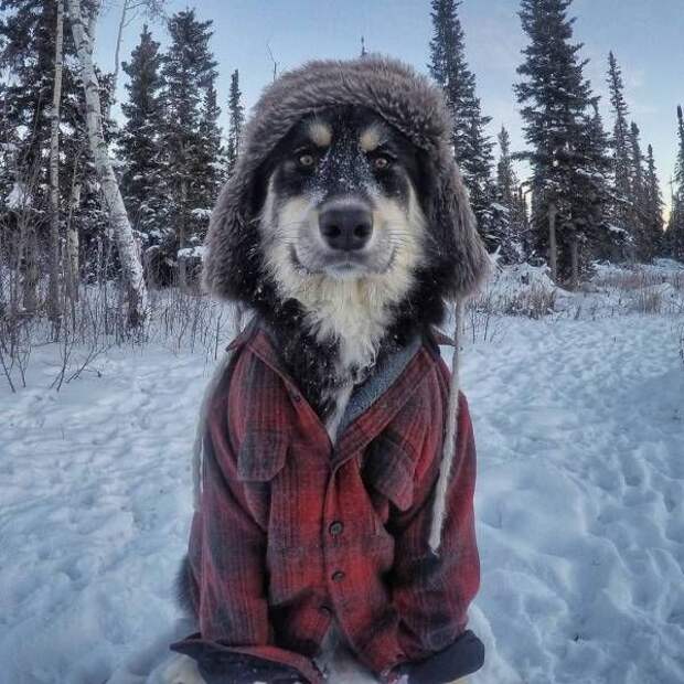 Подборка прикольных фото №1273 (103 фото)