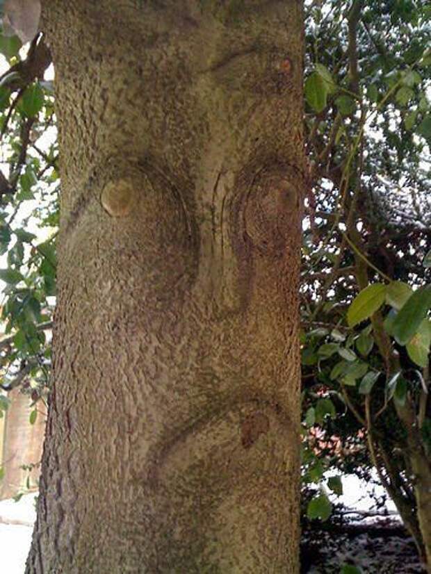 Эти глаза напротив ...